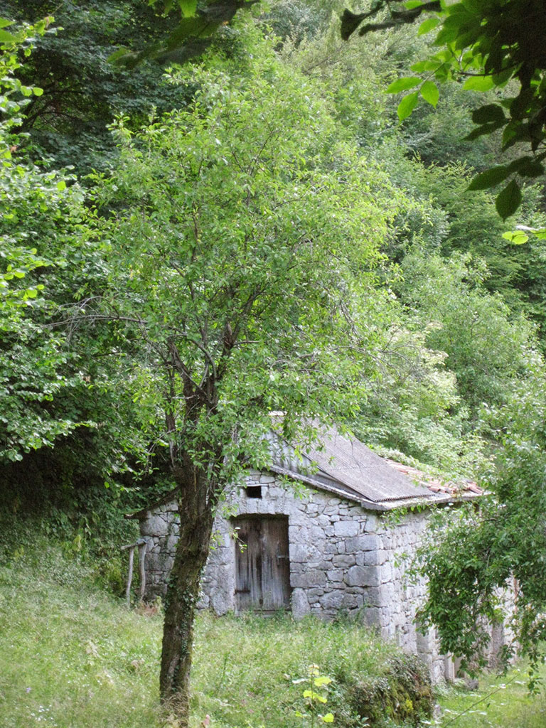 Alte Hütte
